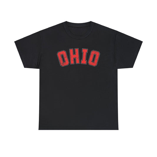 Distressed Ohio State Tshirt